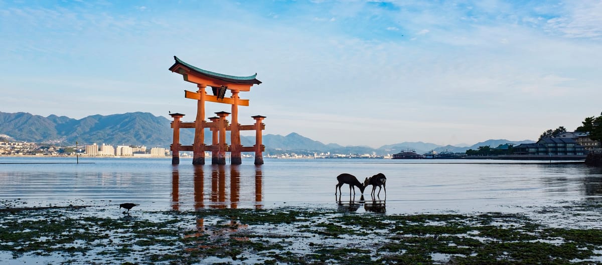 Autumn in Japan with the Fujifilm X100T