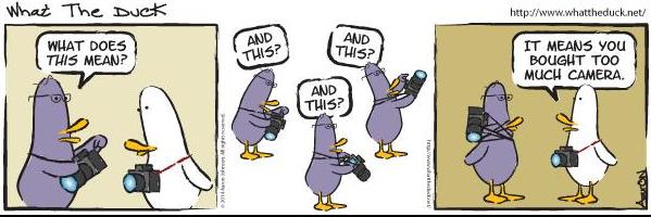 Do you know a hobbyist? (Credit: www.whattheduck.net)